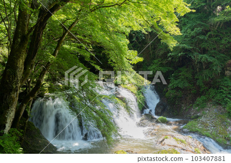 Waterfall of Egyutada of the fresh green Waterfall of Egyutada of the fresh green 103407881