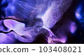Close-up lilac black white ink splash abstract background. Dark violet blue paint. Dark purple liquid digital flow. Shiny liquid. Blue art flowing. Fluid backdrop. Acrylic pattern texture 103408021