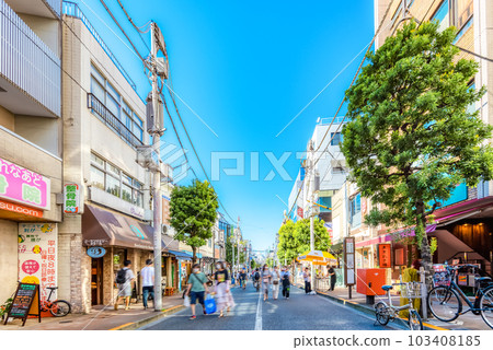 Cityscape of Setagaya, Tokyo Sangenjaya, Chazawa-dori Cityscape of Setagaya, Tokyo Sangenjaya, Chazawa-dori 103408185