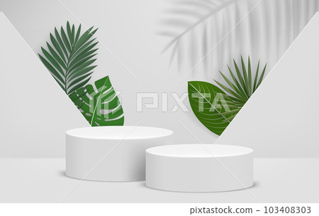 Bright interior with two podiums and green leaves. Eco friendly product showcase template. 3d vector background 103408303
