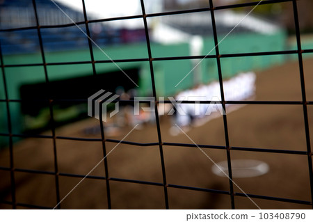 棒球陣容 103408790