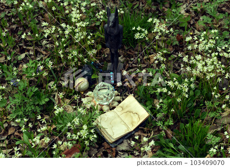 Anubis gos figurine with open book of spells and crystal in the garden. Occult, esoteric and divination still life. Mystic outside background with vintage objects 103409070