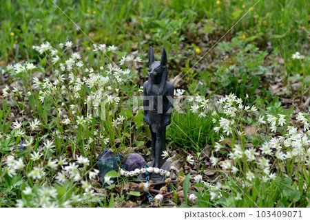 Witch ritual with Anubis god figurine in the garden. Occult, esoteric and divination still life. Mystic outside background with vintage objects Witch ritual with Anubis god figurine in the garden. Occult, esoteric and divination still life. Mystic outside background with vintage objects 103409071