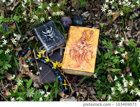 Decorated magic books of spells on the grass in the garden. Occult, esoteric and divination still life. Mystic outside background with vintage objects 103409073