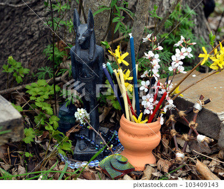 Anubis Egypt god figurine with candles and flowers on ritual altar. Occult, esoteric and divination still life. Mystic outside background with vintage objects 103409143