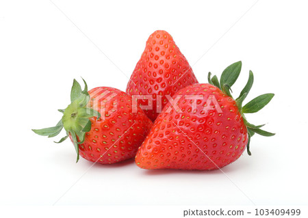 草莓白背 103409499