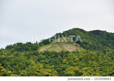 京都大門山 103409662