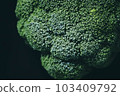 broccoli, broccolli, brocoli 103409792