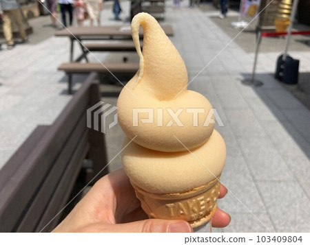 濃郁蛋軟奶油 103409804