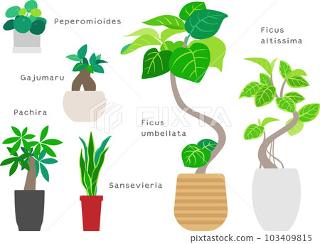 盆栽植物 1 盆栽植物 1 103409815