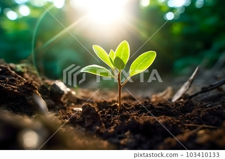 Young Plant growing under bright morning sunlight, organic, sustainability, environment,  ecosystem, earth day, development concept. Generative AI 103410133