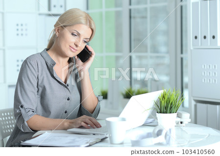 woman working with laptop 103410560