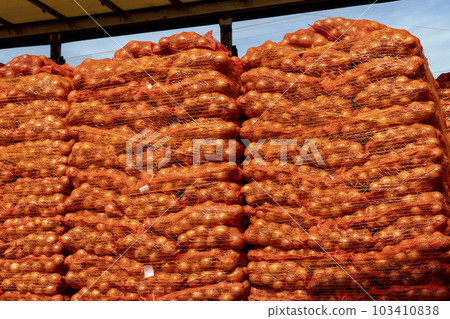 Truck Loaded With Palletized Onion Bags Wrapped in Netting, Ready for Shipping - Global Food Trade and Transport  103410838