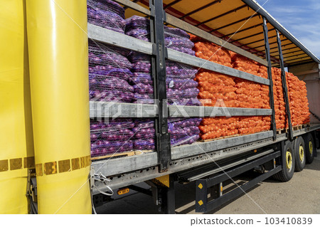 Global Food Trade and Transport - Loading Truck with Palletized Onion Bags Wrapped in Netting for Distribution to Market 103410839