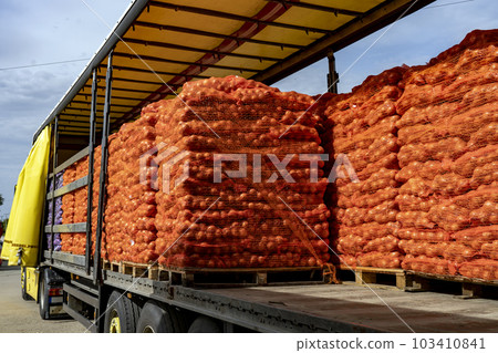 Global Food Trade and Transport - Loading Truck with Palletized Onion Bags Wrapped in Netting for Distribution to Market 103410841