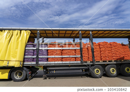 Loading Truck With Palletized Onion Bags Wrapped in Netting for Distribution to Market - Global Food Trade. 103410842