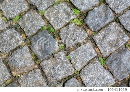 Paving stones and grass. Paving stones and grass. 103411039