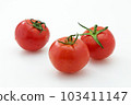 Tomato   103411147
