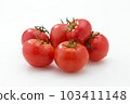Tomato   103411148