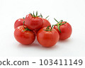 Tomato   103411149