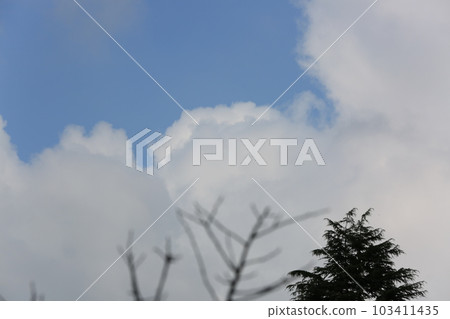 I walked in Mitsuike Park 103411435