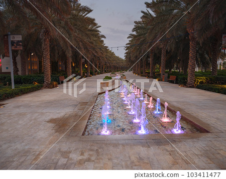 evening park in the big city evening park in the big city 103411477