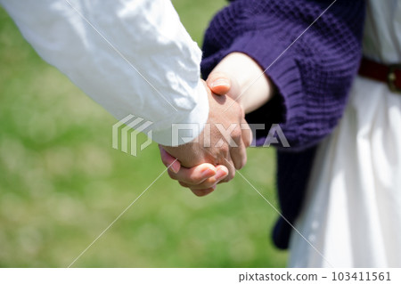 A couple connecting hands in the park A couple connecting hands in the park 103411561