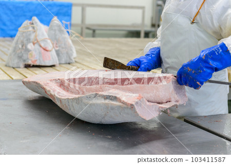 Frozen tuna processing factory Dismantling work 103411587