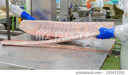 Frozen tuna processing factory Dismantling work 103411591