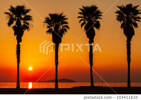 Sunset at beautiful Ichinomiya Park Sunset at beautiful Ichinomiya Park 103411810