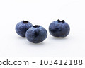 blueberry 103412188