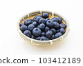 blueberry 103412189