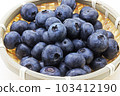 blueberry 103412190