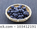 blueberry 103412191