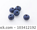 blueberry 103412192