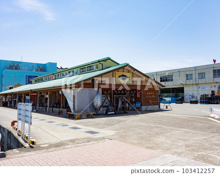Bustling Market at Katsuura Port in Nanki Katsuura Town, Wakayama Prefecture 103412257
