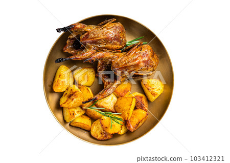 Delicious roasted quails with herbs in a plate with fried potato. Isolated on white background. 103412321