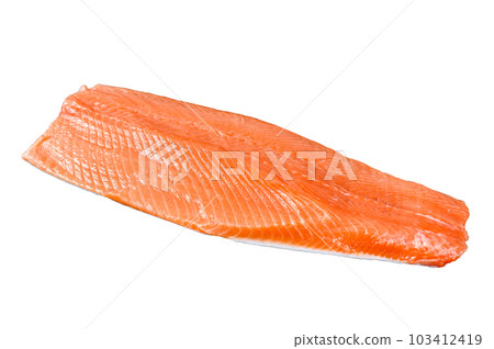 Raw salmon fillet. Organic fish. Isolated on white background. 103412419