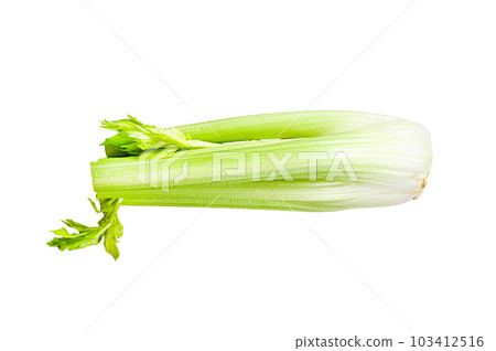 Celery vegetable on wood tray. Isolated on white background. 103412516