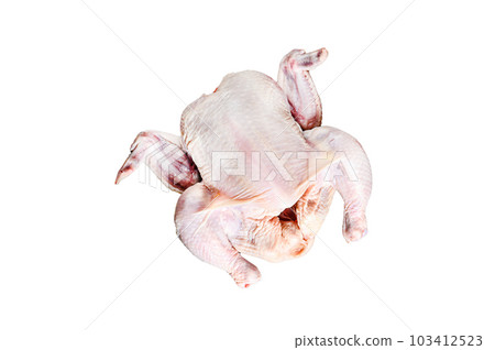 Concept of cooking whole chicken with rosemary and pink pepper. Isolated on white background. Concept of cooking whole chicken with rosemary and pink pepper. Isolated on white background. 103412523
