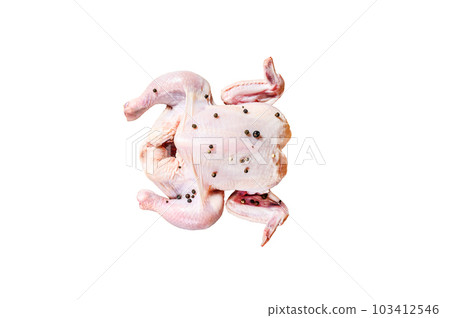 Concept of cooking whole chicken. Ingredients rosemary, pink salt, garlic and cherry tomatoes. Isolated on white background. Concept of cooking whole chicken. Ingredients rosemary, pink salt, garlic and cherry tomatoes. Isolated on white background. 103412546