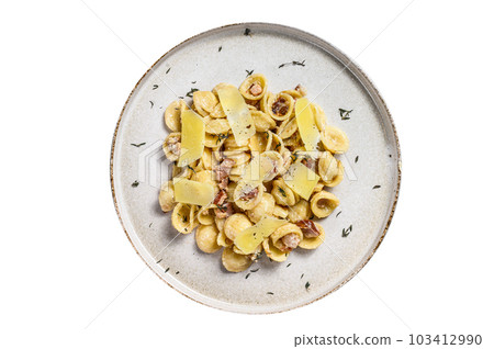 Orecchiette homemade carbonara pasta with pancetta, egg, hard parmesan cheese and cream sauce. Isolated on white background. 103412990