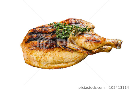 Grilled whole organic chicken with thyme. Isolated on white background. 103413114