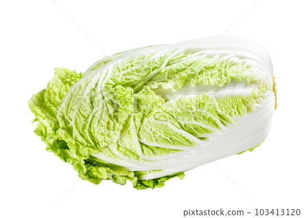 White Chinese cabbage. Organic vegetables. Isolated on white background. 103413120