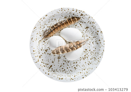 White background with white eggs and feathers. Isolated on white background. 103413279
