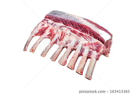 Raw fresh rack of lamb meat. Isolated on white background. Raw fresh rack of lamb meat. Isolated on white background. 103413365