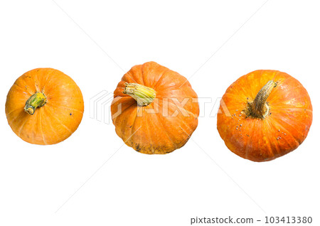 Autumn Pumpkin Thanksgiving Background, orange pumpkins on a wooden table. Isolated on white background. 103413380