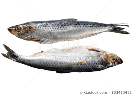 Pickled whole Nordic herring. Isolated on white background. 103413451