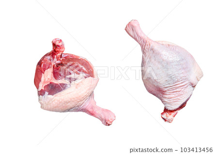Free range raw Duck legs. Isolated on white background. Free range raw Duck legs. Isolated on white background. 103413456
