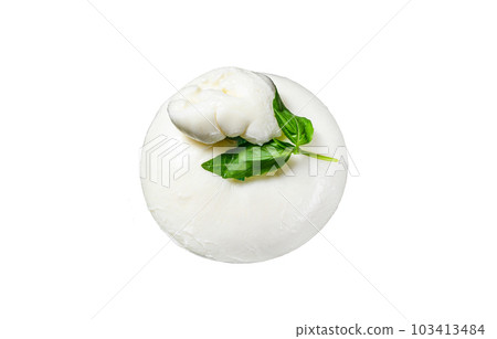 Mozzarella Burrata cheese with Basil leaves. Isolated on white background. Mozzarella Burrata cheese with Basil leaves. Isolated on white background. 103413484